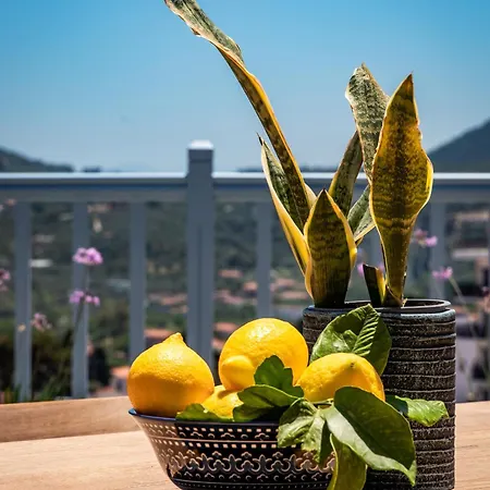 Aurora Apartment - Skopelos 아파트 *